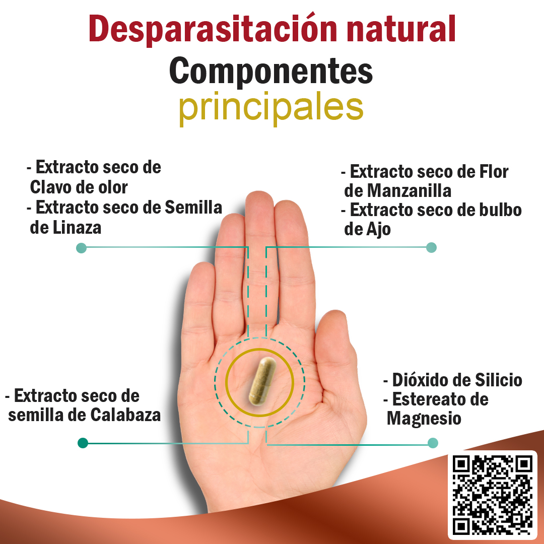 DES-LIVE componentes principales