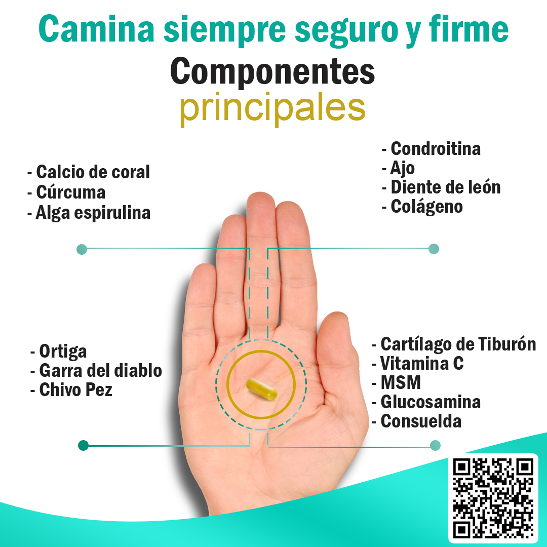 LIVEH-FLEX componentes principales