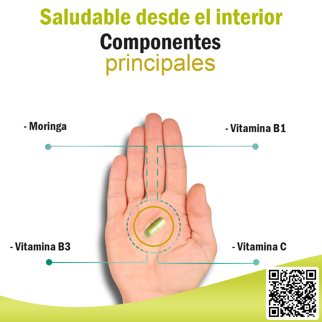 MORINGA componentes principales