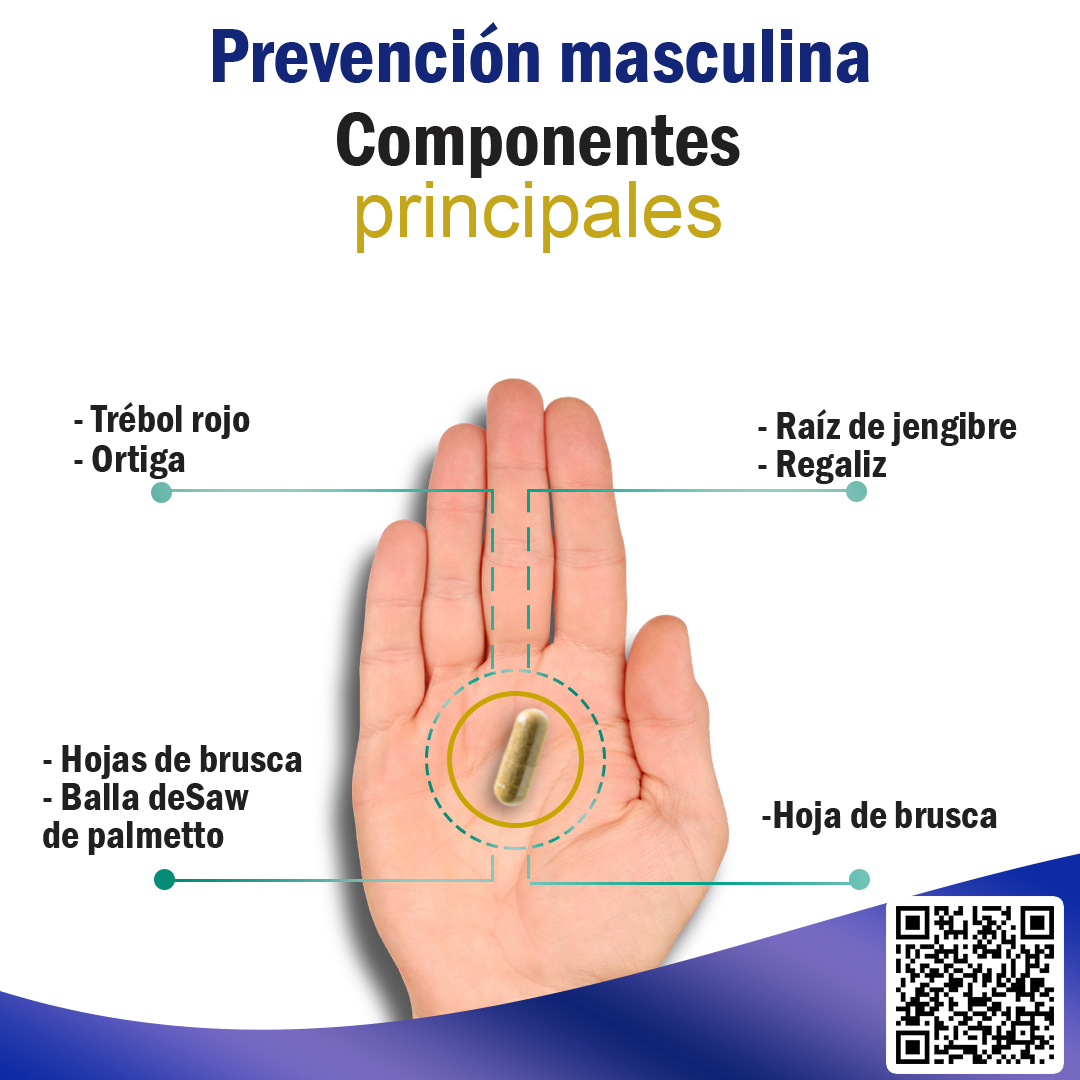 PROSTATE componentes principales